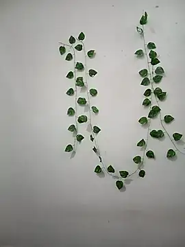 Neha-Bhabhi-Rasily online show from 02/22/26, 09:08