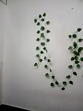 Neha-Bhabhi-Rasily online show from 02/24/26, 09:51