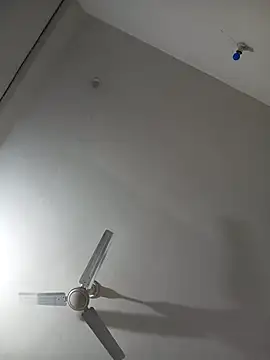 Neha-Bhabhi-Rasily online show from 04/14/26, 08:26