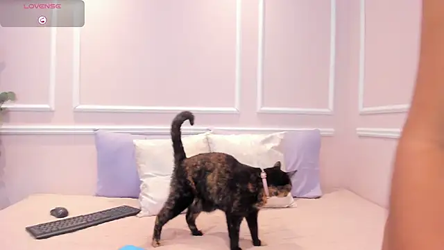 Lucy Canel online show from 01/31/26, 07:11