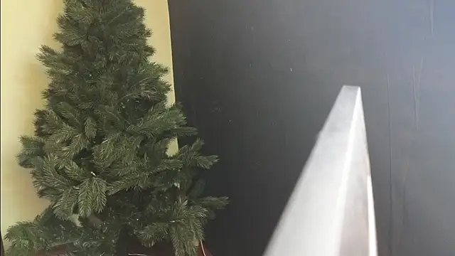 Maya Mayflower online show from 03/04/25, 12:12