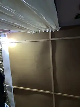 Snapshot of prettybuddyhead1 chatting on 03/06/25, 06:41 prettybuddyhead1 online show from 03/06/25, 06:41