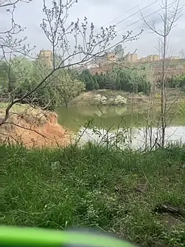 shaovu online show from 04/06/26, 06:25