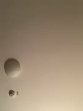 Snapshot of Saysay-7 chatting on 11/20/25, 11:26 Saysay-7 online show from 11/20/25, 11:26