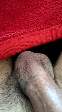 Jaipuri Boy online show from 03/21/25, 10:06