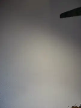 KITTYBOOBOOFUXX online show from 04/05/26, 05:59