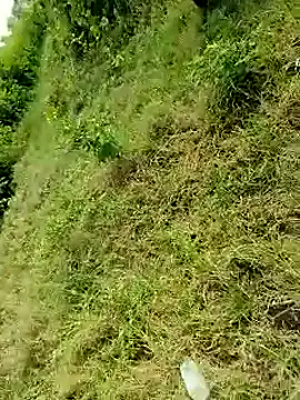 Snapshot of himvilohi08 chatting on 10/06/25, 04:10 himvilohi08 online show from 10/06/25, 04:10