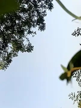 Snapshot of himvilohi08 chatting on 10/22/25, 10:26 himvilohi08 online show from 10/22/25, 10:26