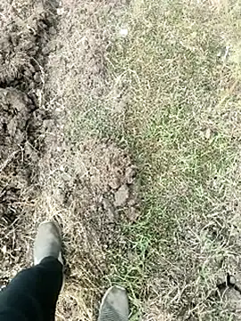 himvilohi08 online show from 01/18/26, 04:05