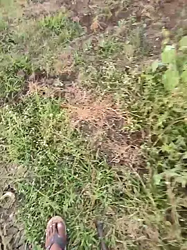 himvilohi08 online show from 03/16/26, 01:15