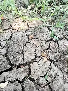 himvilohi08 online show from 04/01/26, 05:08