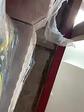 Snapshot of wainer02 chatting on 03/11/25, 01:12 wainer02 online show from 03/11/25, 01:12