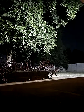 Snapshot of bakedsnackmmh chatting on 02/19/26, 09:33 bakedsnackmmh online show from 02/19/26, 09:33