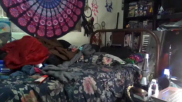 GardeniaFields online show from 12/17/25, 04:51