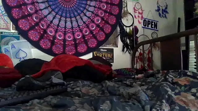 GardeniaFields online show from 04/04/26, 10:24