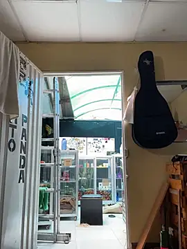 val zx online show from 09/11/25, 04:18