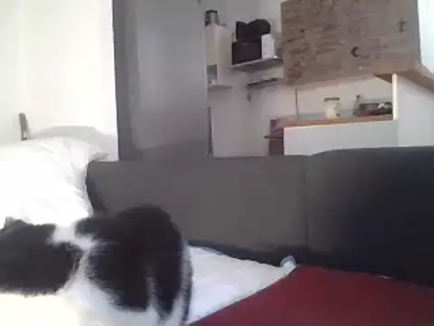 Snapshot of ThePython666 chatting on 03/22/25, 07:25 ThePython666 online show from 03/22/25, 07:25