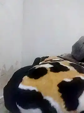 CertifiedSatisfier online show from 10/29/25, 01:46