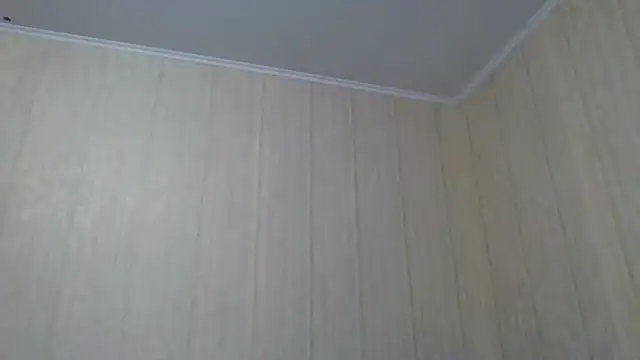  Black-Panther  online show from 09/28/25, 10:31