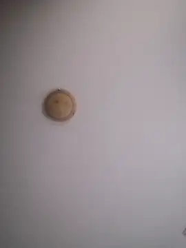 Snapshot of yourflowerpink chatting on 11/29/25, 08:28 yourflowerpink online show from 11/29/25, 08:28