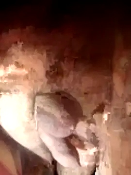 Ayush pussy fucker online show from 11/23/25, 06:08