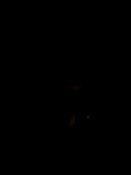 John96999 online show from 03/16/25, 12:12