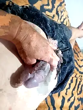 Snapshot of Dglo0000 chatting on 11/30/25, 08:51 Dglo0000 online show from 11/30/25, 08:51