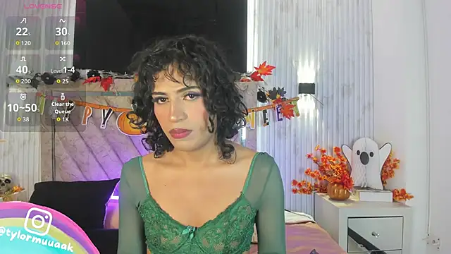 Taylor Harveey online show from 11/01/25, 08:00