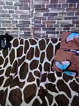 Casadaculona30 online show from 03/03/26, 02:39