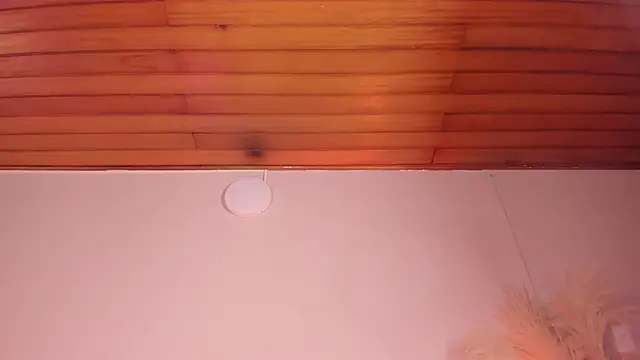 Snapshot of viol_collins__ chatting on 03/22/25, 12:14 viol collins online show from 03/22/25, 12:14