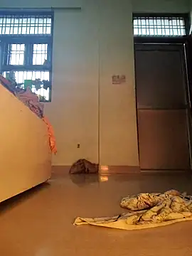 Desi Bhabi 01 online show from 02/01/26, 09:52