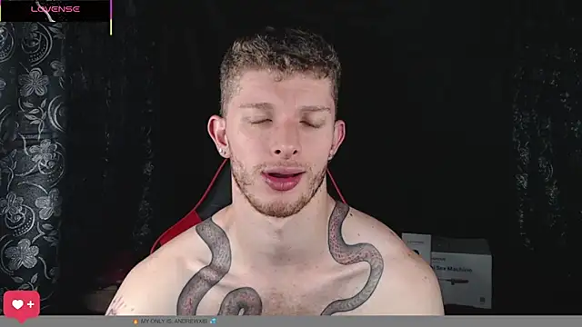 Snapshot of andrewxbi chatting on 02/01/26, 01:20 andrewxbi online show from 02/01/26, 01:20