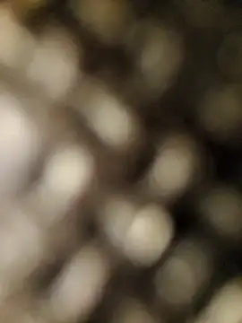 Snapshot of geilerschwanz556r7 chatting on 09/30/25, 08:52 geilerschwanz556r7 online show from 09/30/25, 08:52