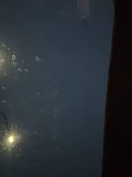 Eriksson00 online show from 12/19/25, 07:48