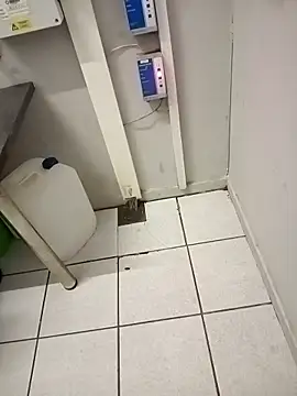 Snapshot of paptsimo chatting on 11/25/25, 02:44 paptsimo online show from 11/25/25, 02:44