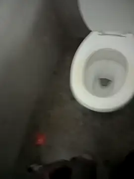 Snapshot of paptsimo chatting on 12/13/25, 07:53 paptsimo online show from 12/13/25, 07:53