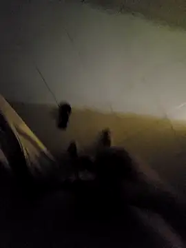 Snapshot of beto_juby777 chatting on 11/04/25, 10:42 beto juby777 online show from 11/04/25, 10:42