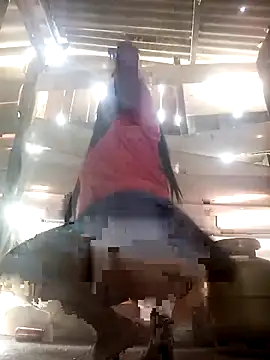 srtsara online show from 04/02/26, 10:46