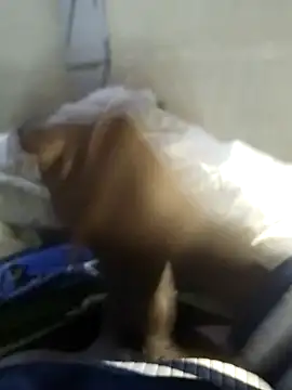 92donis online show from 11/20/25, 07:24