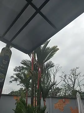 Yessica Lopezz online show from 03/05/26, 11:28