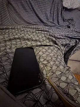 pikuslordpll online show from 04/26/26, 04:21