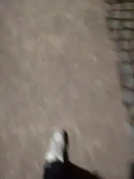 berto acierto98 online show from 03/12/26, 09:21