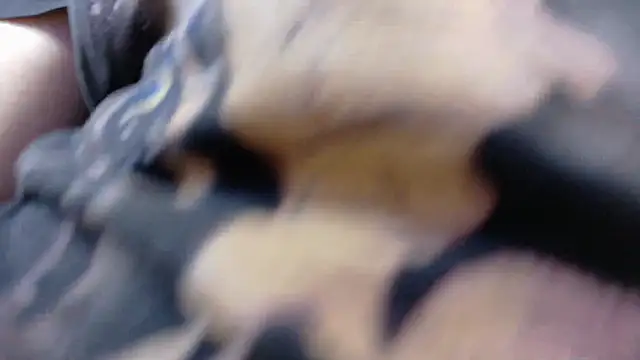 Witch Scarlet online show from 03/25/26, 01:00