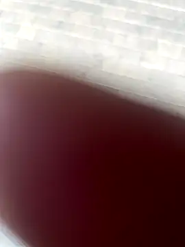 kamo012000 online show from 10/09/25, 02:37