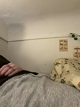 Evand13 online show from 04/24/26, 08:11