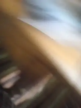svvagesexyy online show from 07/14/26, 08:14