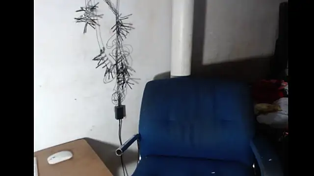 BebaFoxx online show from 02/20/26, 06:26