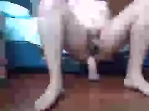 Snapshot of Culazodeantonellarocuzzo chatting on 09/15/25, 03:34 Culazodeantonellarocuzzo online show from 09/15/25, 03:34