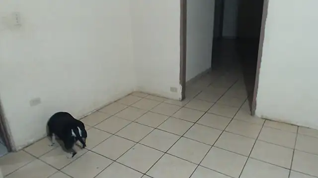 BlondZilla online show from 05/02/26, 03:33