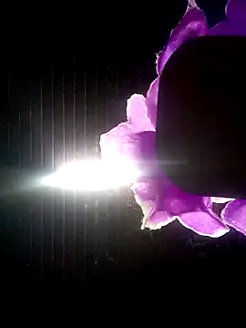 Ridick2025 online show from 10/08/25, 11:13